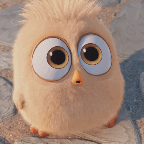 a bird